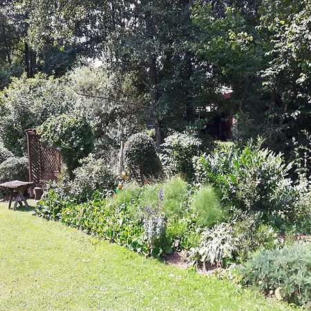 Forest Hideaway, Cleaning Included Daire *