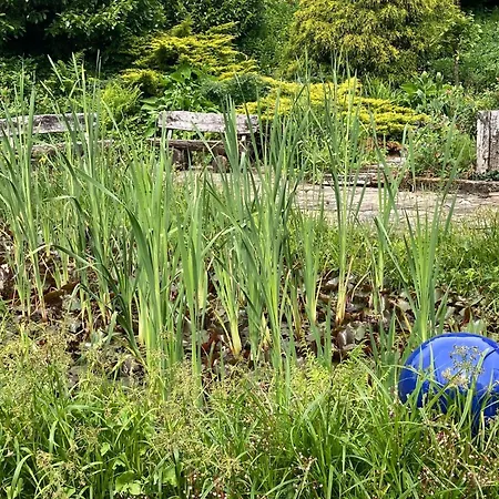 Daire Forest Hideaway, Cleaning Included